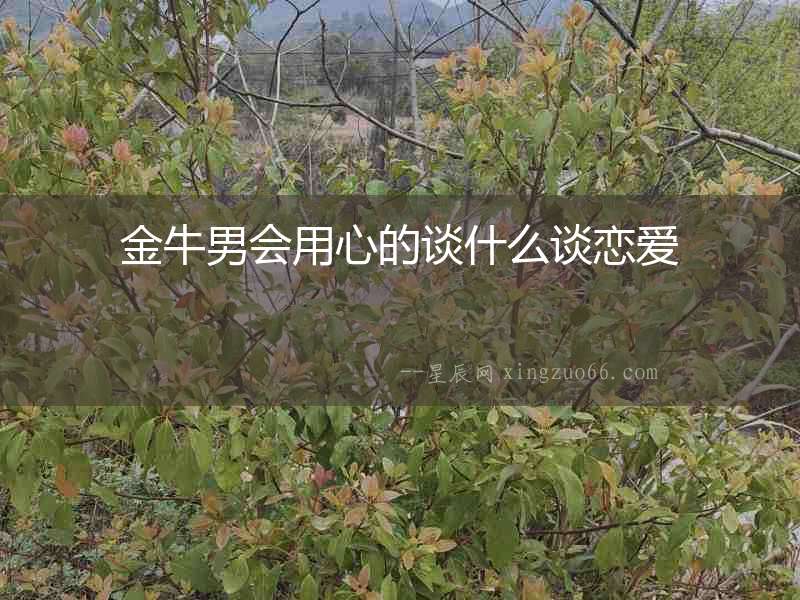 金牛男會用心的談什么談戀愛