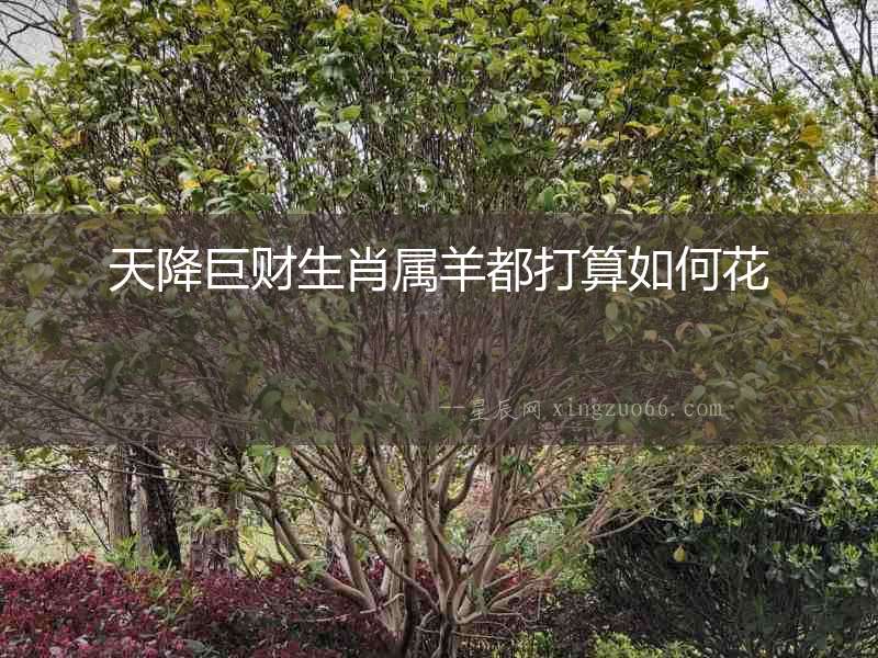 天降巨財生肖屬羊都打算如何花