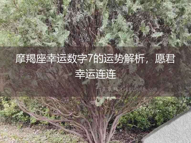 摩羯座幸運數字7的運勢解析，愿君幸運連連