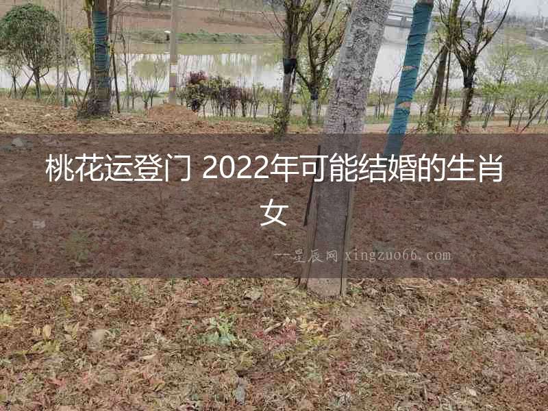 桃花運登門 2022年可能結婚的生肖女