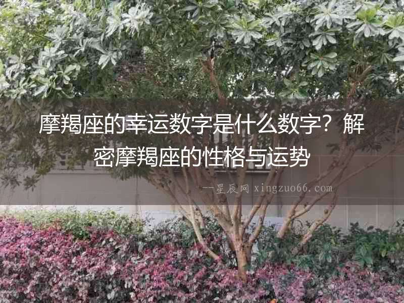摩羯座的幸運數字是什么數字？解密摩羯座的性格與運勢