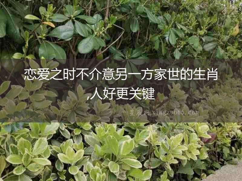 戀愛之時不介意另一方家世的生肖,人好更關鍵