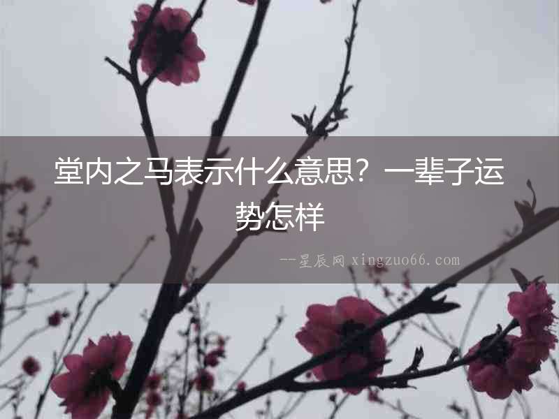 堂內之馬表示什么意思？一輩子運勢怎樣