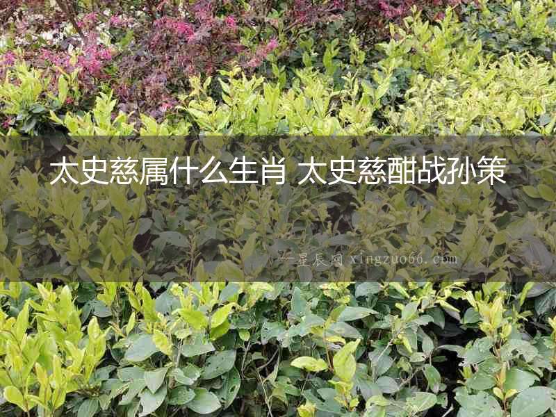 太史慈屬什么生肖 太史慈酣戰孫策