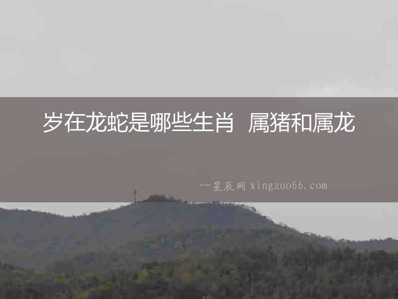 歲在龍蛇是哪些生肖  屬豬和屬龍