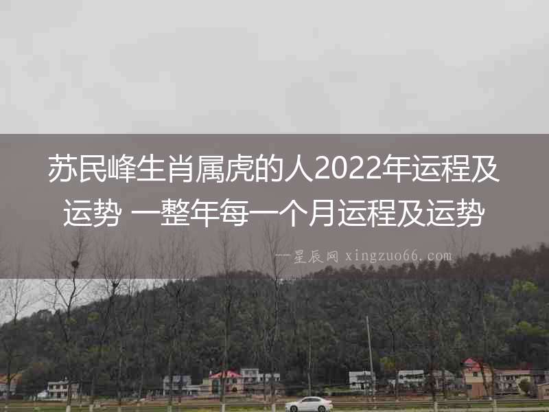 蘇民峰生肖屬虎的人2022年運程及運勢 一整年每一個月運程及運勢