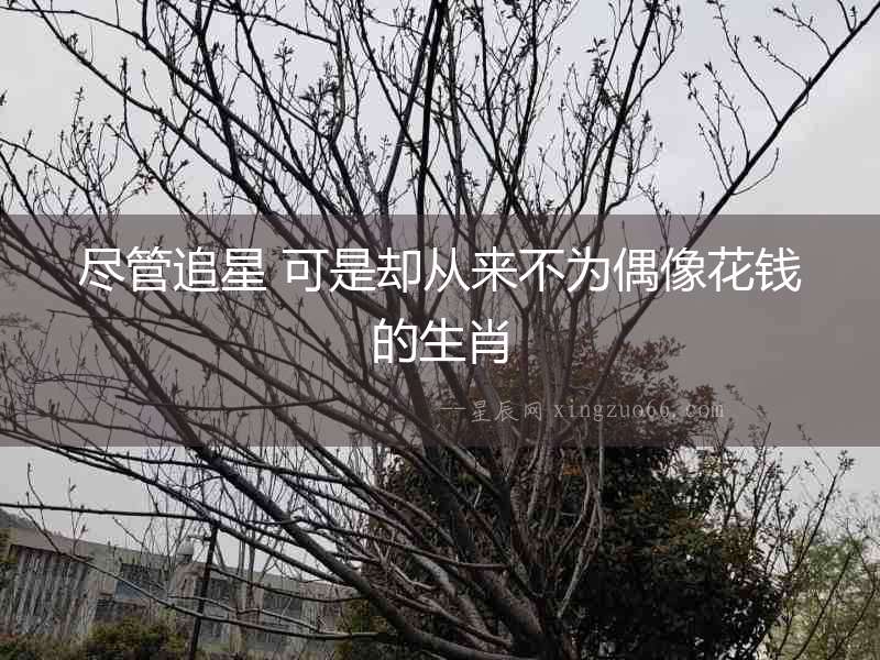 盡管追星 可是卻從來(lái)不為偶像花錢的生肖