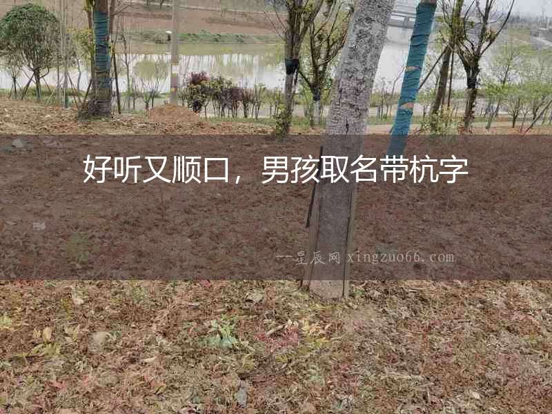 好聽又順口，男孩取名帶杭字