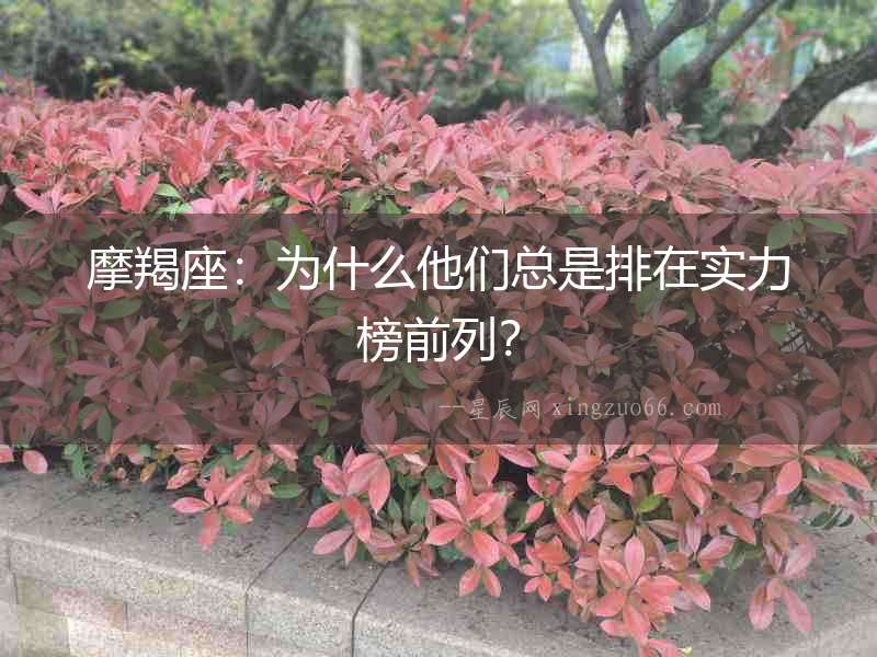 摩羯座：為什么他們總是排在實力榜前列？