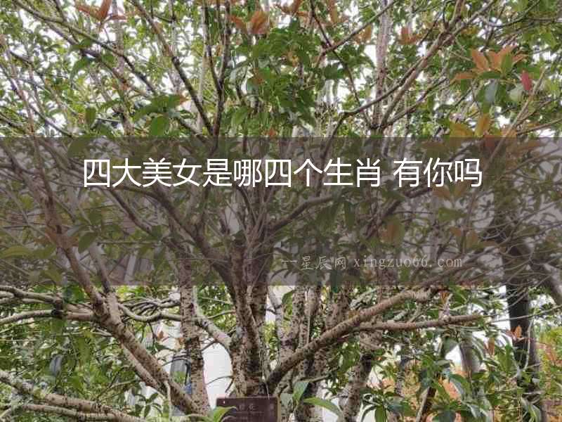 四大美女是哪四個(gè)生肖 有你嗎