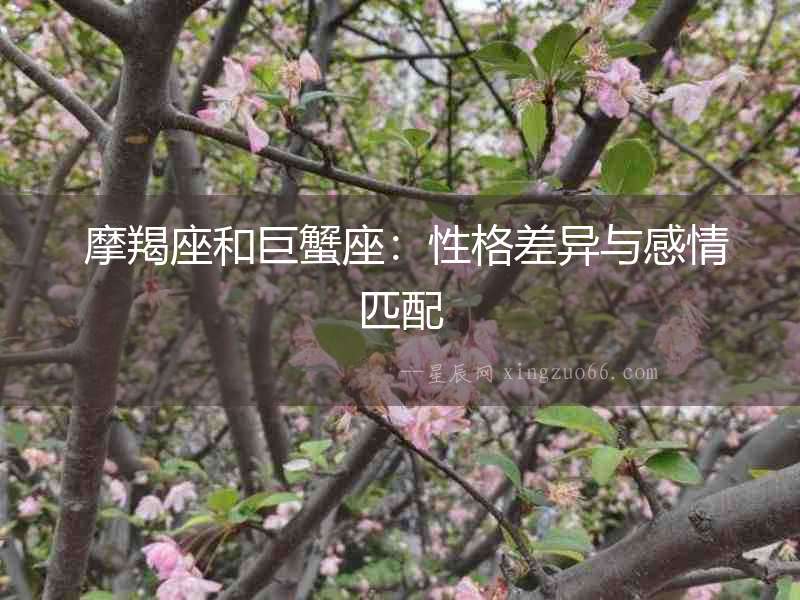  摩羯座和巨蟹座：性格差異與感情匹配
