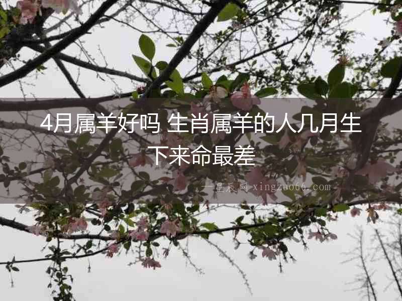 4月屬羊好嗎 生肖屬羊的人幾月生下來命最差