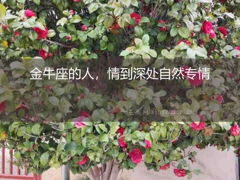 金牛座的人，情到深處自然專情
