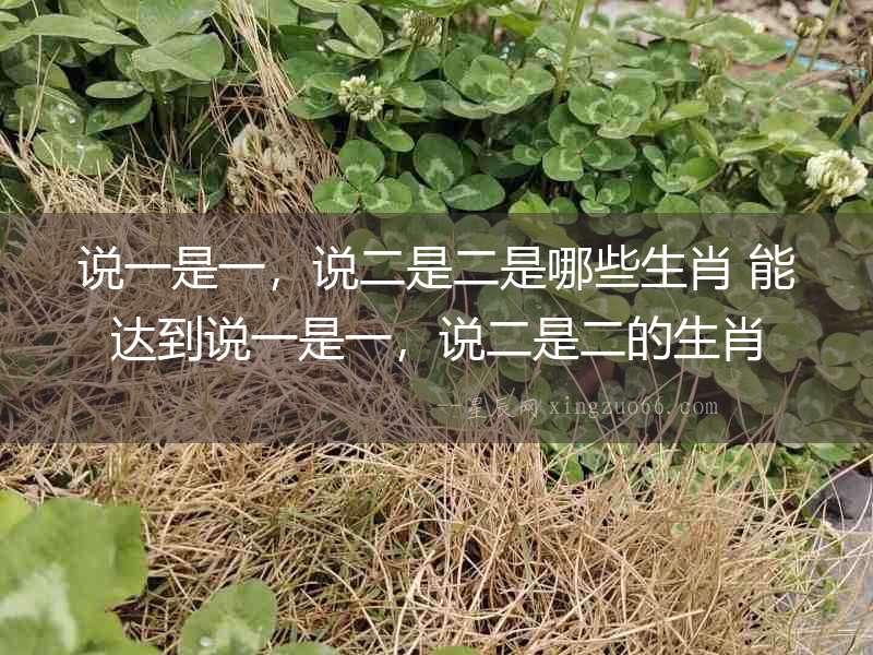 說一是一，說二是二是哪些生肖 能達到說一是一，說二是二的生肖