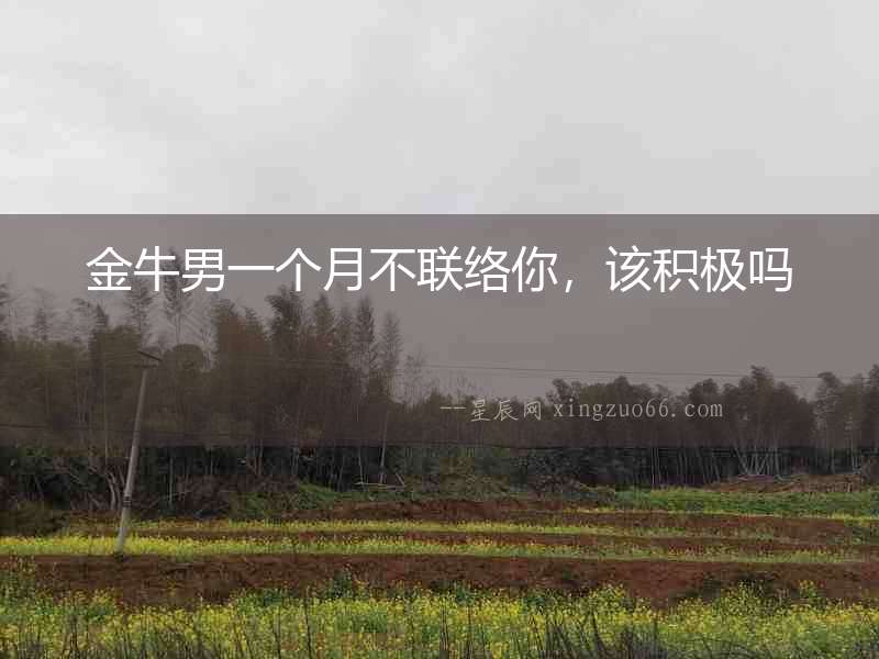 金牛男一個月不聯絡你，該積極嗎
