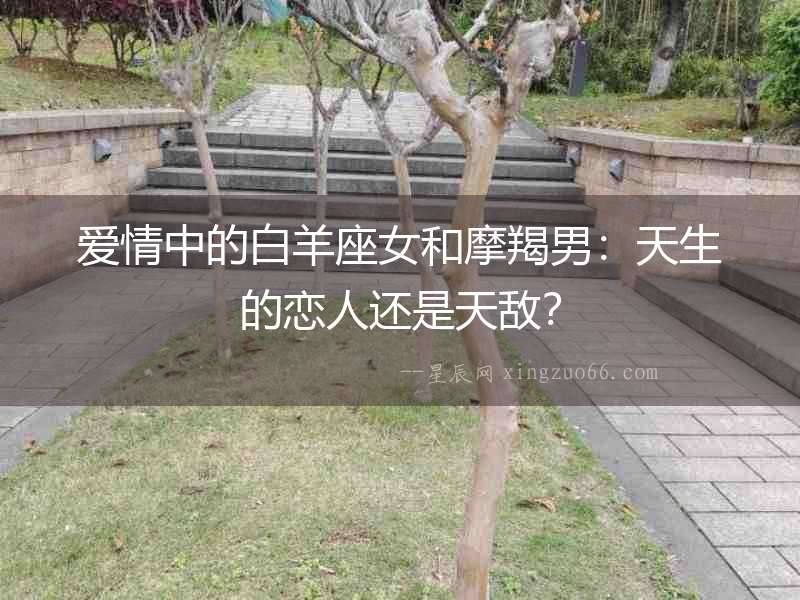 愛情中的白羊座女和摩羯男：天生的戀人還是天敵？