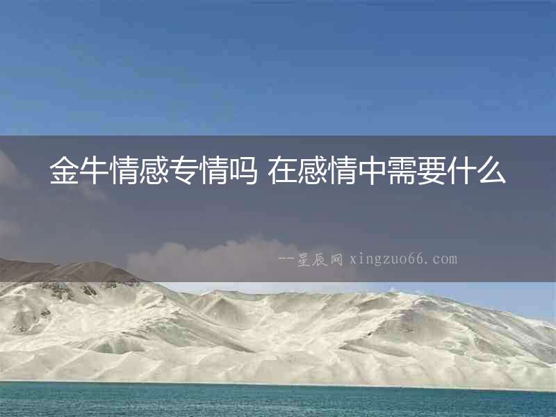 金牛情感專情嗎 在感情中需要什么