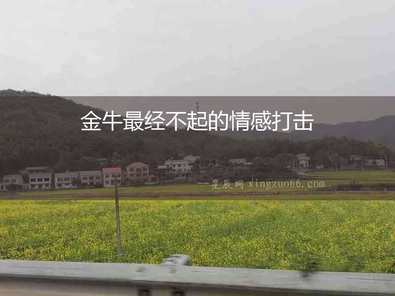 金牛最經不起的情感打擊