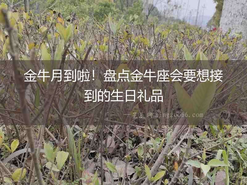 金牛月到啦！盤點(diǎn)金牛座會(huì)要想接到的生日禮品