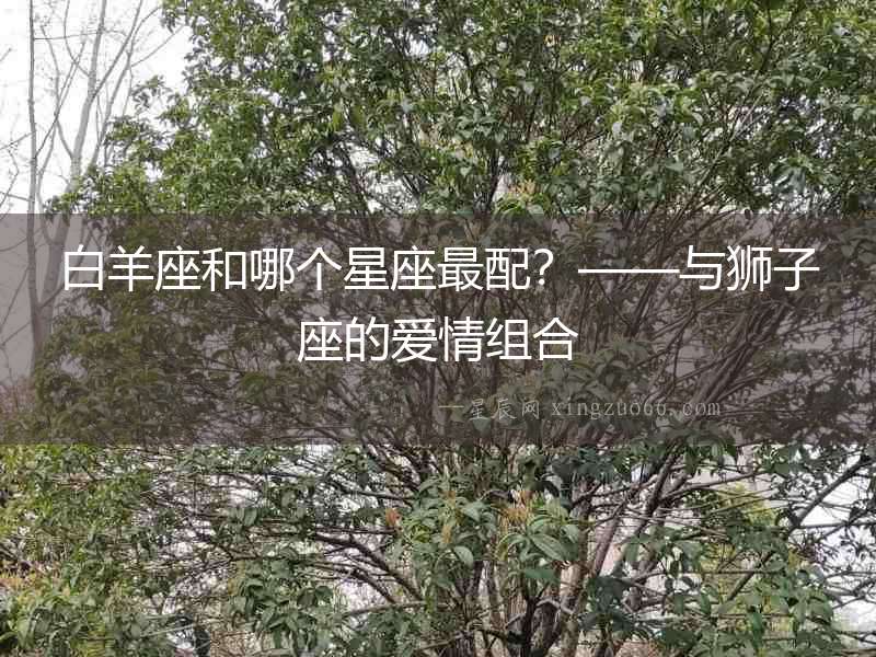 白羊座和哪個星座最配？——與獅子座的愛情組合