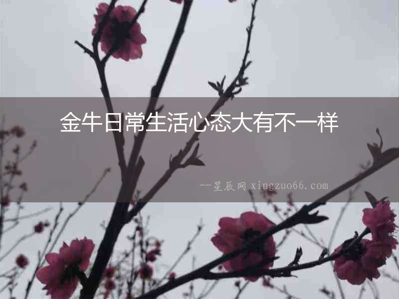 金牛日常生活心態(tài)大有不一樣