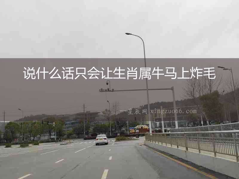 說什么話只會讓生肖屬牛馬上炸毛