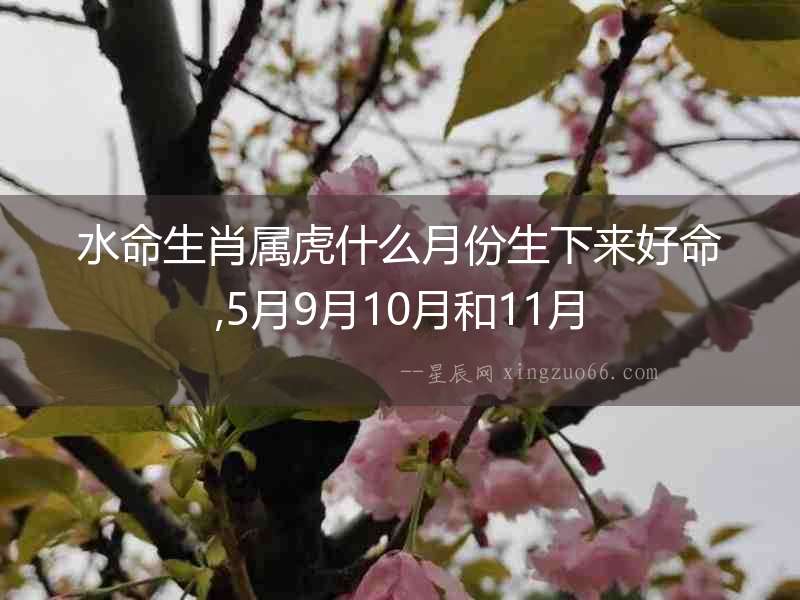 水命生肖屬虎什么月份生下來好命,5月9月10月和11月