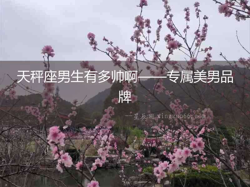 天秤座男生有多帥啊——專屬美男品牌