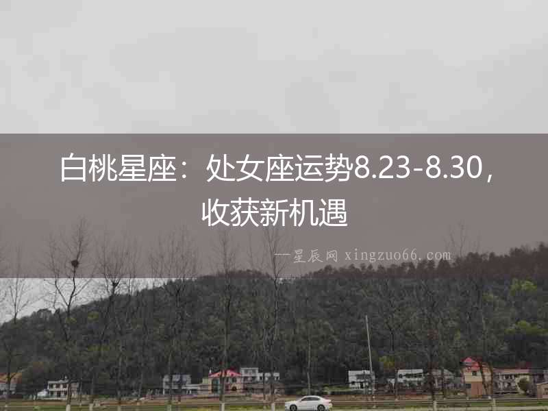 白桃星座：處女座運勢8.23-8.30，收獲新機遇