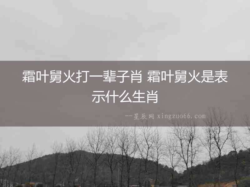 霜葉舅火打一輩子肖 霜葉舅火是表示什么生肖