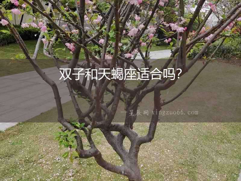 雙子和天蝎座適合嗎？
