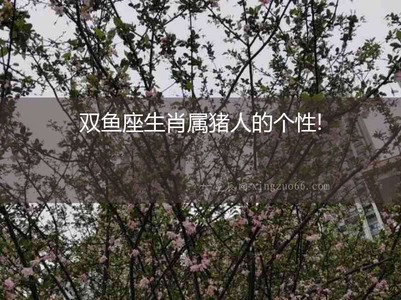 雙魚座生肖屬豬人的個(gè)性!