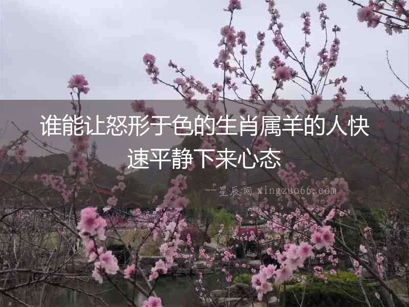 誰(shuí)能讓怒形于色的生肖屬羊的人快速平靜下來(lái)心態(tài)