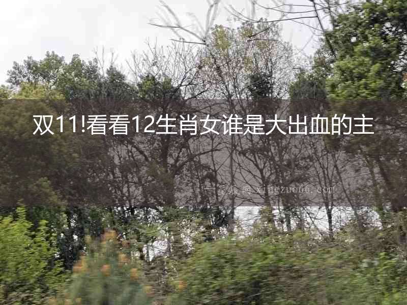 雙11!看看12生肖女誰是大出血的主