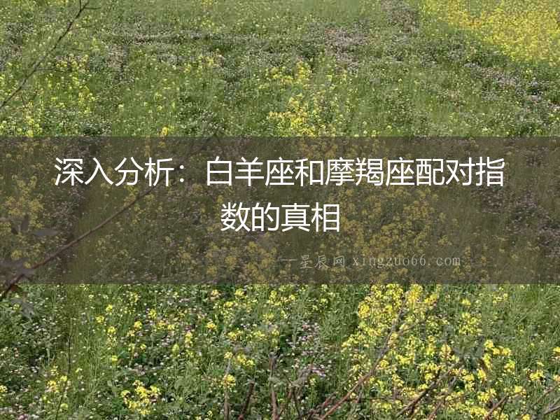 深入分析：白羊座和摩羯座配對指數的真相