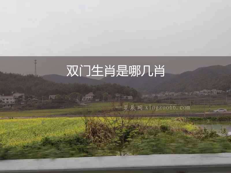 雙門生肖是哪幾肖