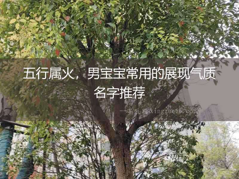五行屬火，男寶寶常用的展現氣質名字推薦
