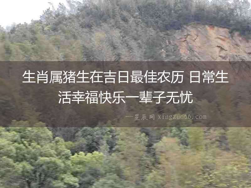 生肖屬豬生在吉日最佳農(nóng)歷 日常生活幸福快樂一輩子無憂