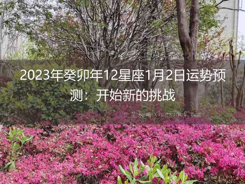 2023年癸卯年12星座1月2日運勢預測：開始新的挑戰