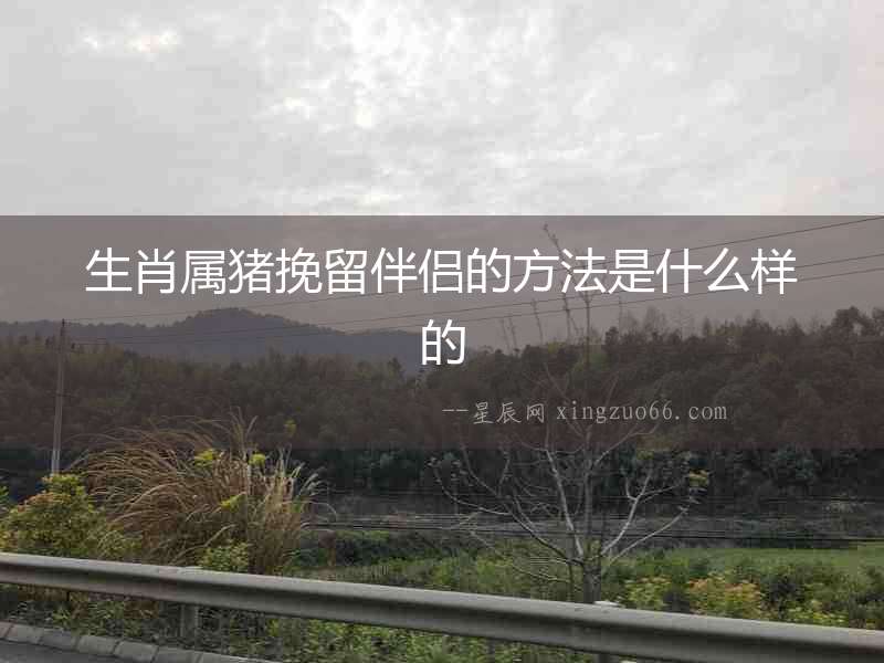 生肖屬豬挽留伴侶的方法是什么樣的