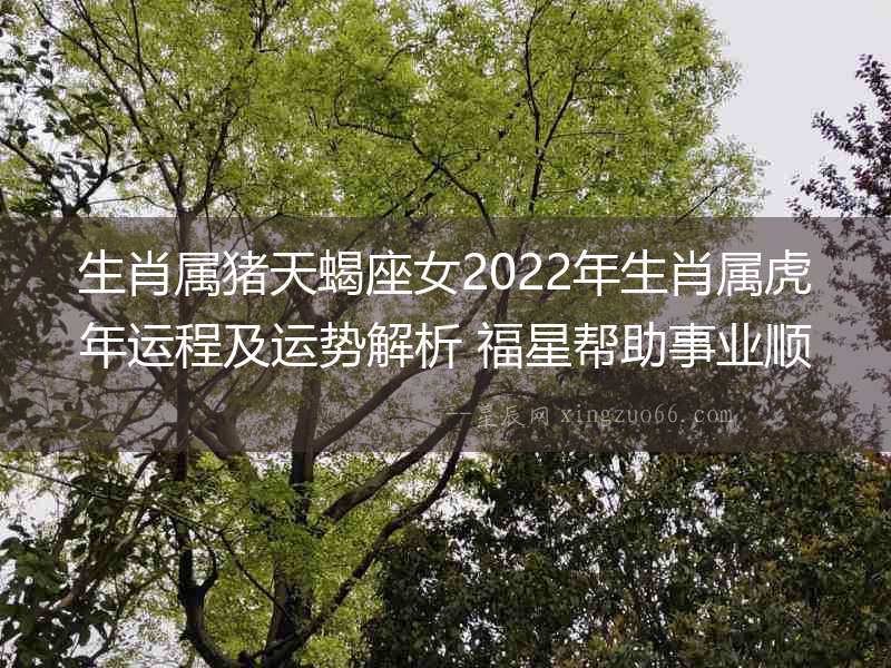 生肖屬豬天蝎座女2022年生肖屬虎年運程及運勢解析 福星幫助事業(yè)順利