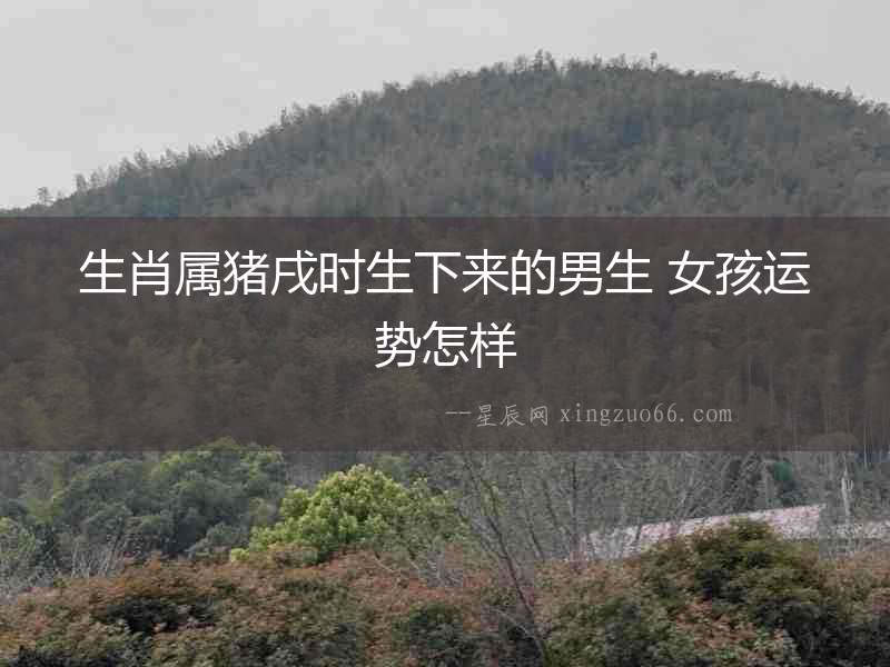 生肖屬豬戌時生下來的男生 女孩運勢怎樣