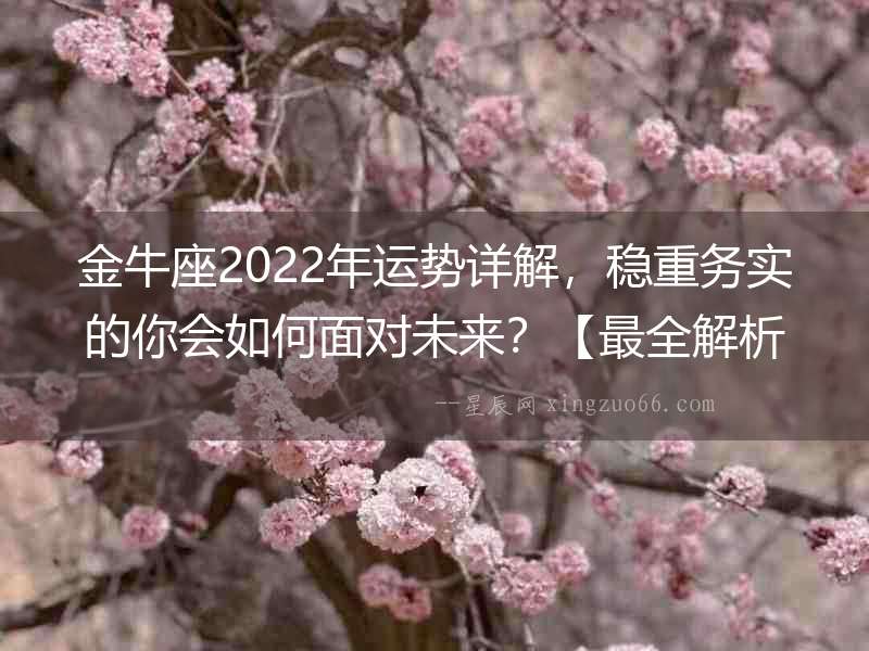金牛座2022年運勢詳解，穩重務實的你會如何面對未來？【最全解析】