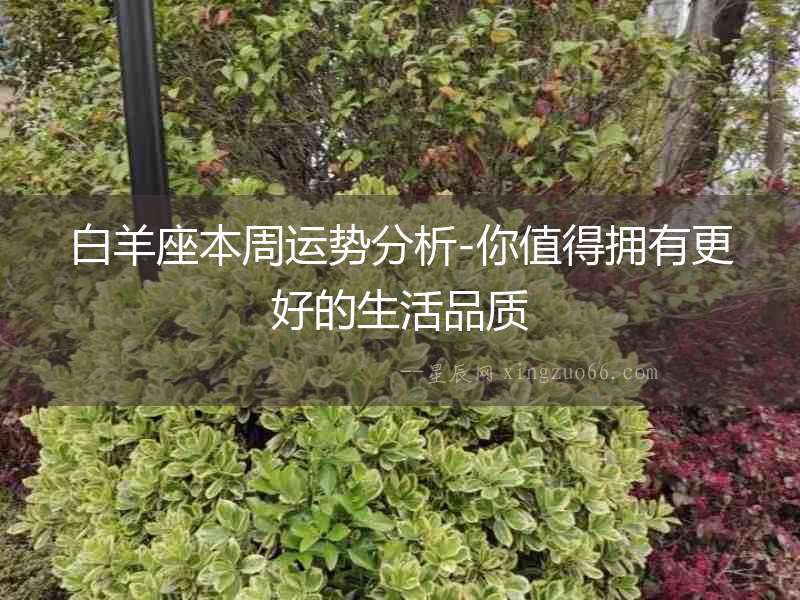 白羊座本周運勢分析-你值得擁有更好的生活品質