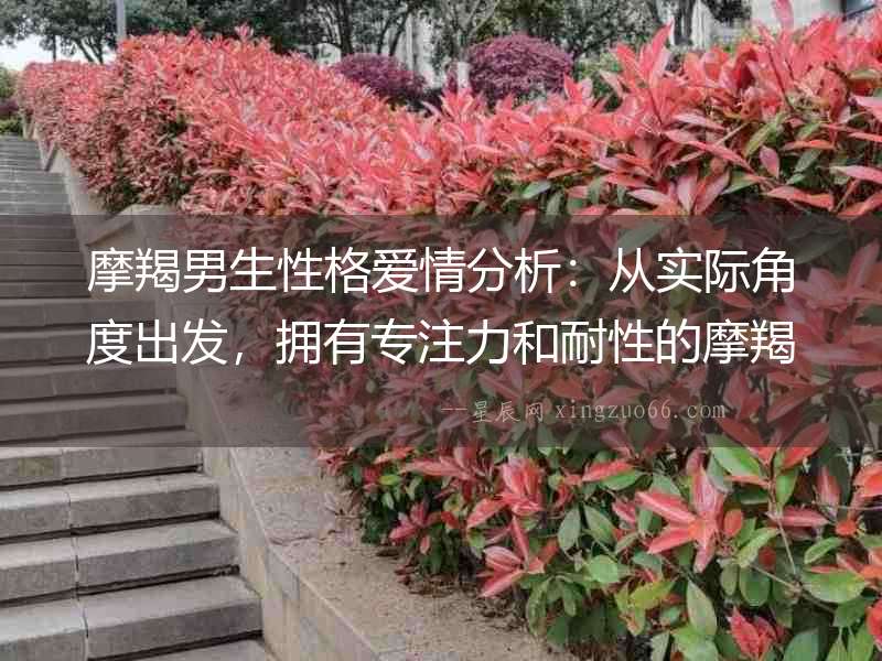 摩羯男生性格愛情分析：從實際角度出發(fā)，擁有專注力和耐性的摩羯男生是理想的戀愛對象