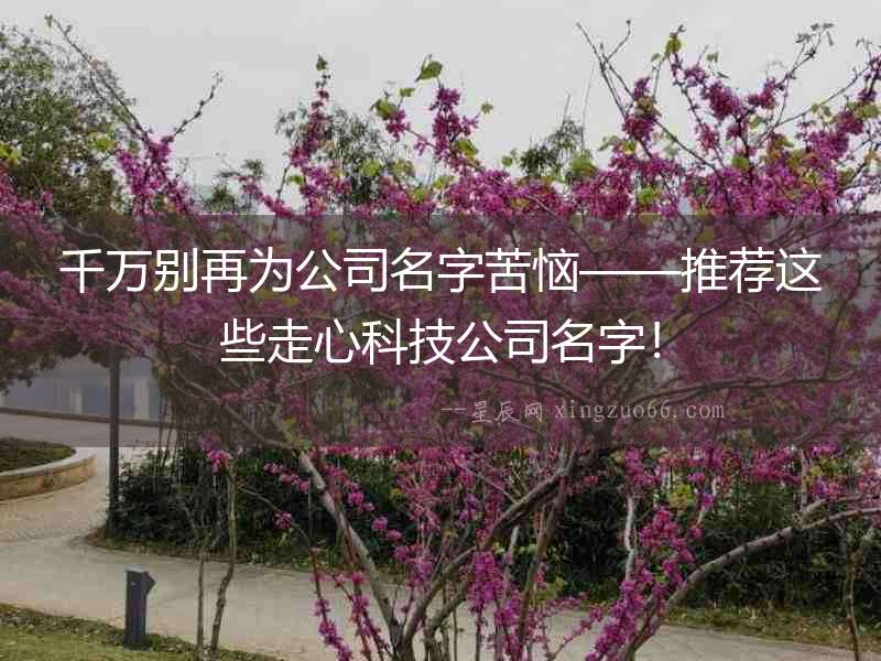 千萬別再為公司名字苦惱——推薦這些走心科技公司名字！