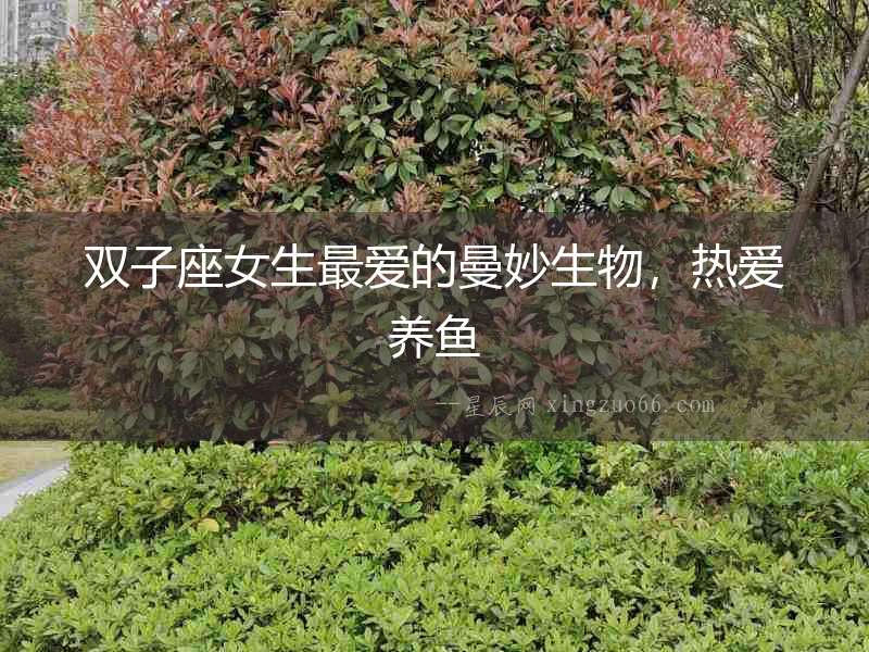 雙子座女生最愛的曼妙生物，熱愛養魚