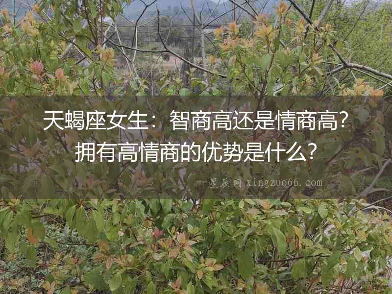 天蝎座女生：智商高還是情商高？擁有高情商的優勢是什么？