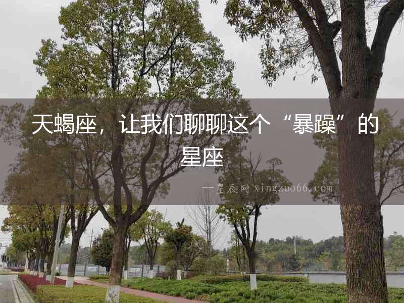  天蝎座，讓我們聊聊這個“暴躁”的星座
