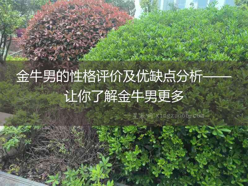 金牛男的性格評價及優(yōu)缺點分析——讓你了解金牛男更多
